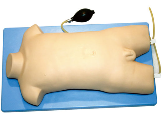 “儿童股静脉与股动脉穿刺训练模型