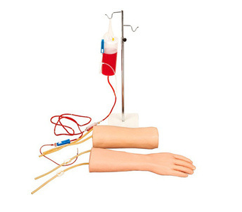 “手部、肘部组合式静脉输液（血）训练模型