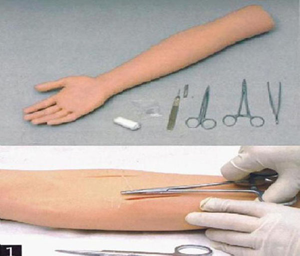 “高级外科手臂缝合训练模型